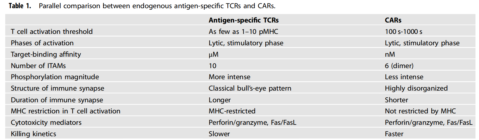 CAT-T AND TCR-T
