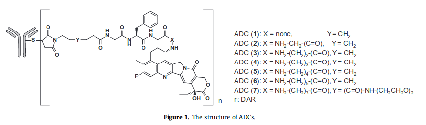 ADC的结构